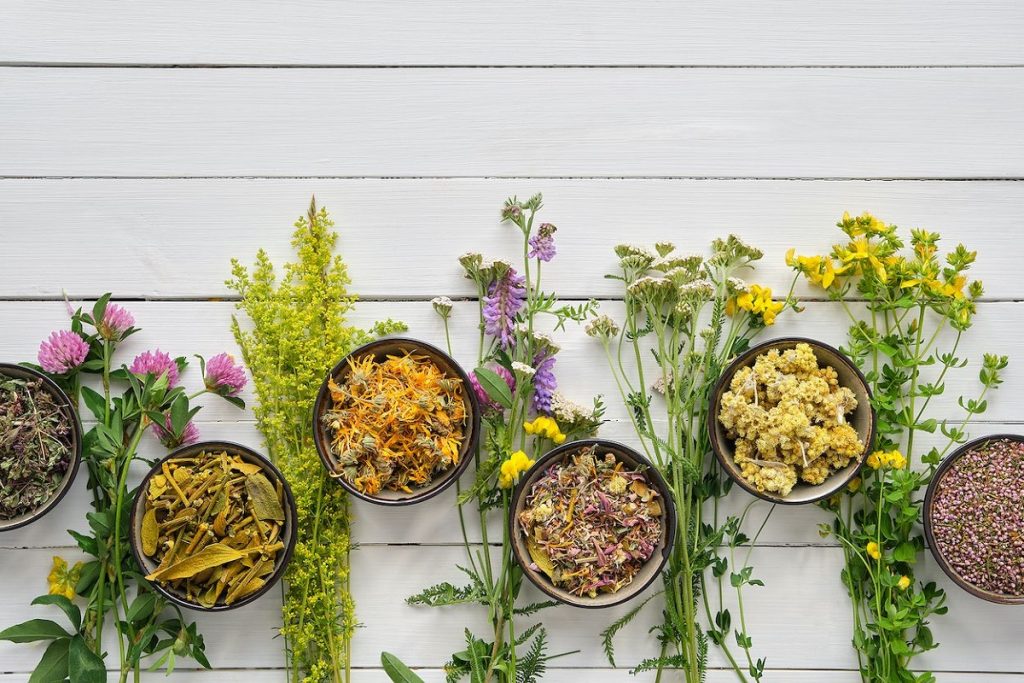 Plantas Medicinales Como Botiqu N Natural Para Tener En Casa Radio