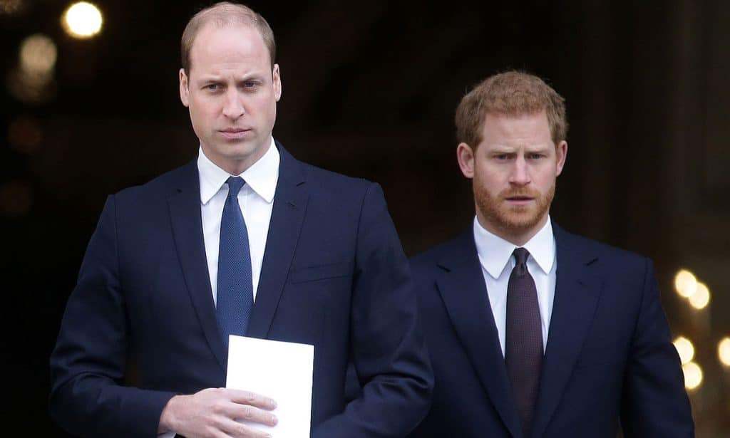 Príncipes Harry y William podrían encontrarse en el homenaje que le harán a su madre