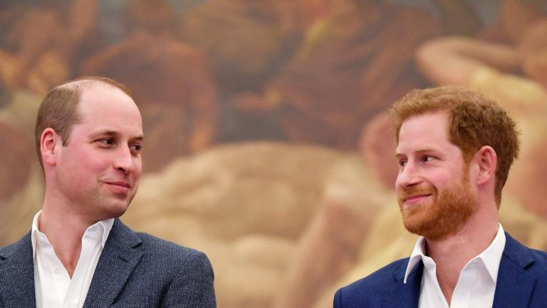 Príncipes Harry y William podrían encontrarse en el homenaje que le harán a su madre