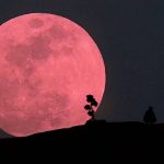 Super Luna Rosada, el evento astronómico que no te puedes perder