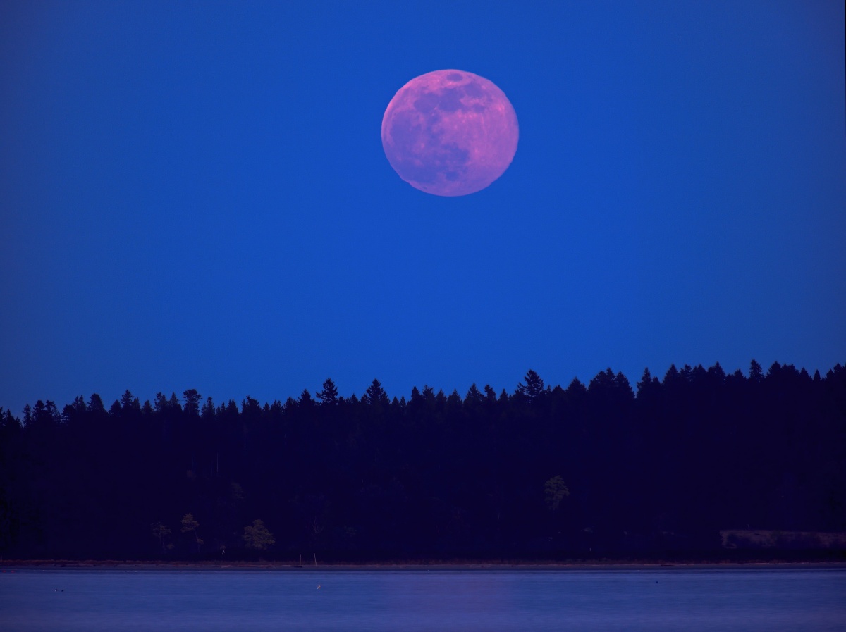 Super Luna Rosada, el evento astronómico que no te puedes perder