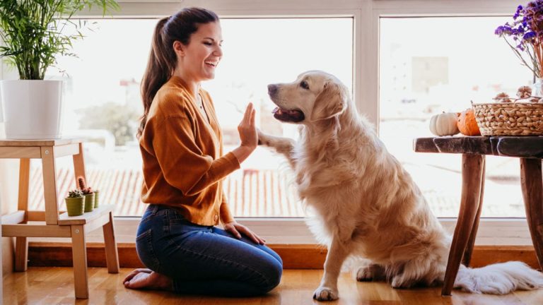 Día Mundial Del Perro