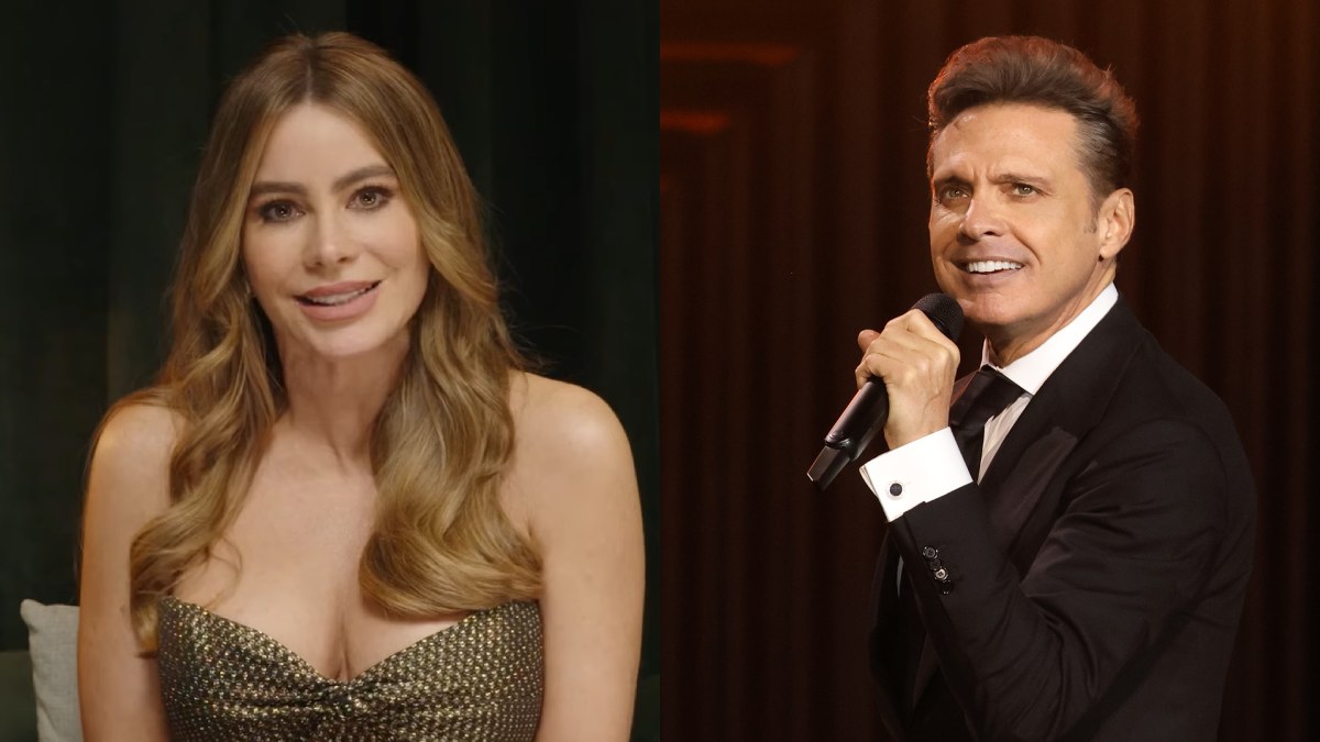 Fue espectacular": Sofía Vergara recordó el especial momento cuando conoció  a Luis Miguel en el Festival de Viña del Mar — Radio Imagina