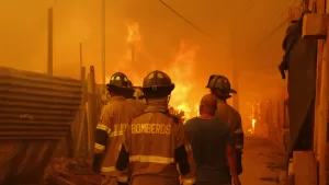 Incendios Forestales En Viña Del Mar