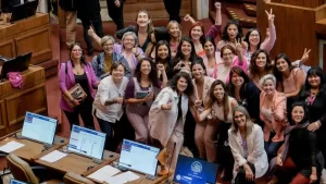 Ley Integral Contra La Violencia De Las Mujeres