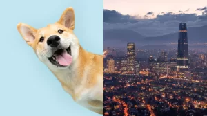 La Ciudad Mas Feliz De Chile Happy City Index 2024