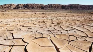 Dia Mundial Del Medio Ambiente