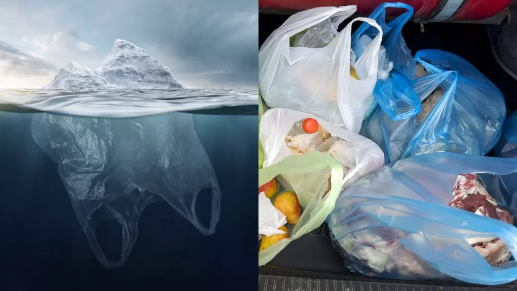 Día Internacional Libre De Bolsas Plásticas Revelan Devastadoras Cifras De Su Uso En El Mundo