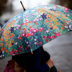 Alerta Temprana Preventiva Por Lluvia En Santiago