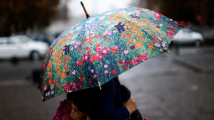 Alerta Temprana Preventiva Por Lluvia En Santiago