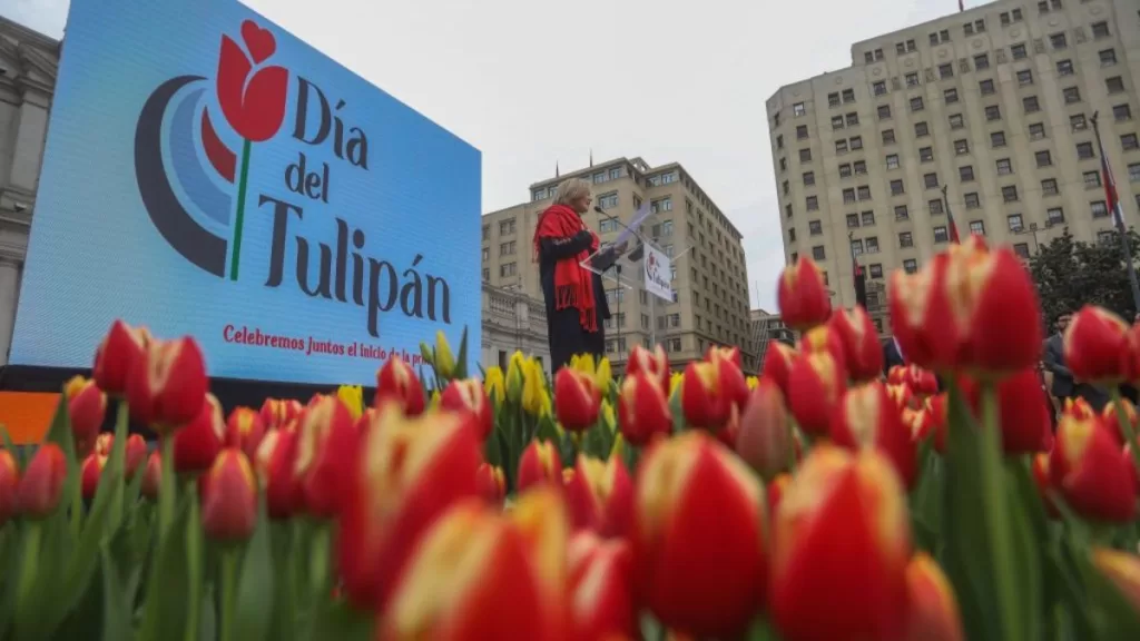 Día Del Tulipán 2024