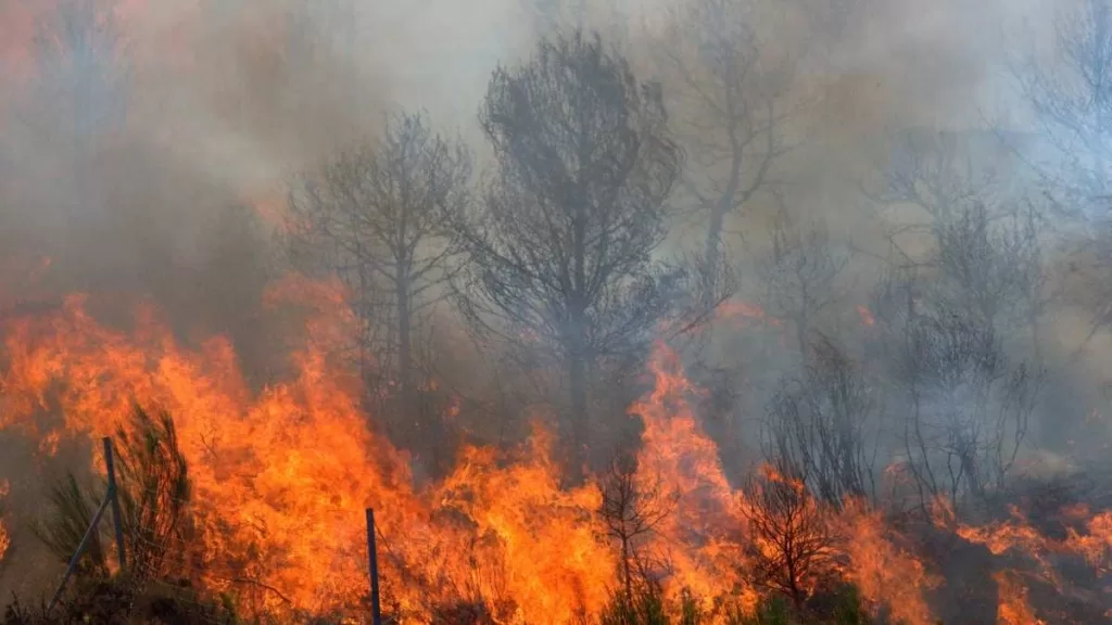 Incendios Senapred